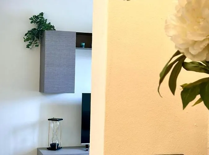 Opera * 萨尔扎纳